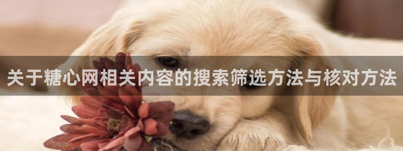 糖心在线锅锅:关于糖心网相关内容的搜索筛选方法与核对方法
