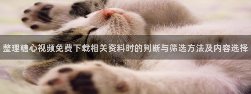糖心vlog记录