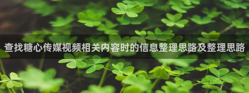 糖心vlog日常生活