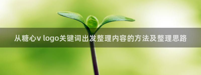 糖心在线观看