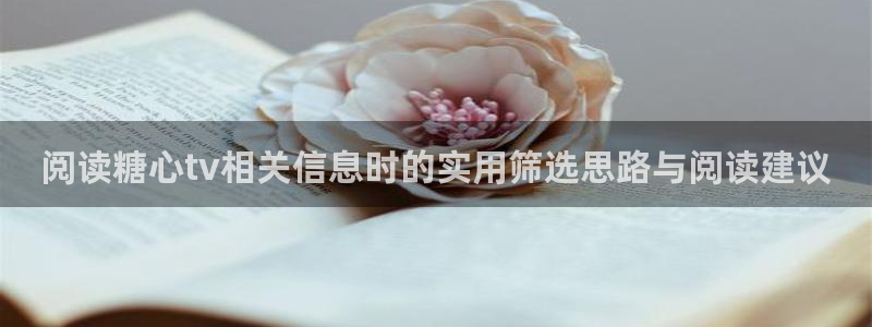 糖心viog最新网站入口