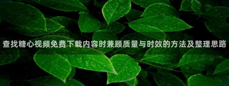 糖心少女最新vlog视频合集：查找糖心视频免费下载内容时兼顾质量与时效的方法及整理思路