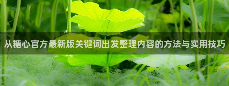 糖心vlog官方免费观看:从糖心官方最新版关键词出发整理内容的方法与实用技巧