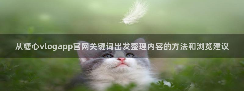 糖心vlog免费入口：从糖心vlogapp官网关键词出发整理内容的方法和浏览建议