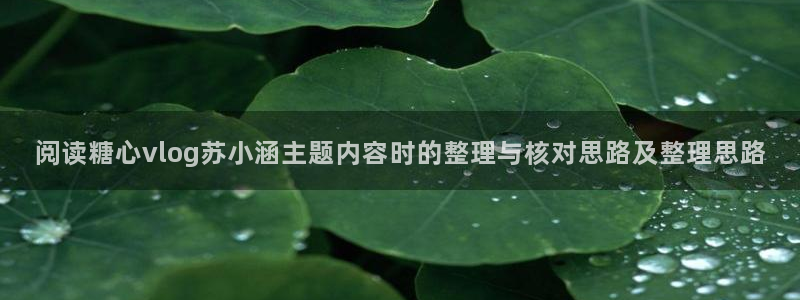 糖心app:阅读糖心vlog苏小涵主题内容时的整理与核对思路及整理思路