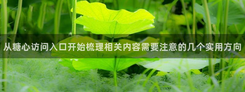 在线观看糖心:从糖心访问入口开始梳理相关内容需要注意的几个实用方向