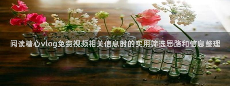 糖心vlog小欣奈:阅读糖心vlog免费视频相关信息时的实用筛选思路和信息整理