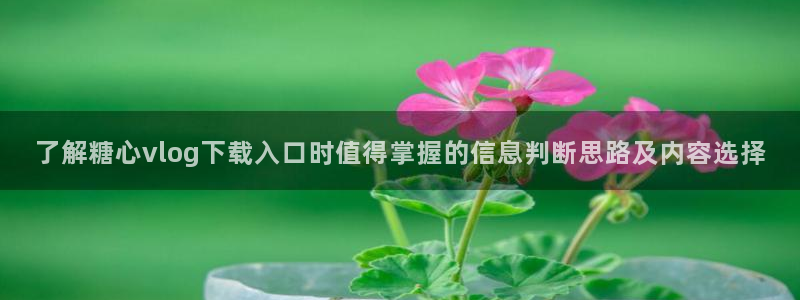 糖心vlog网站免费观看:了解糖心vlog下载入口时值得掌握的信息判断思路及内容选择